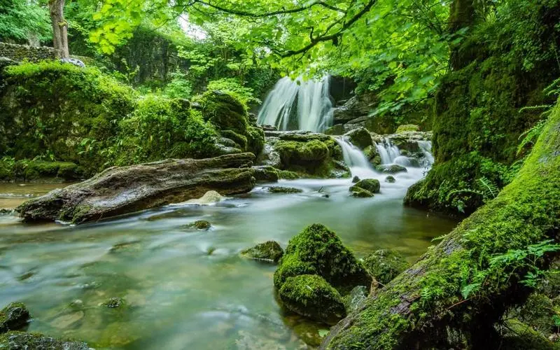 绿色绿色高端